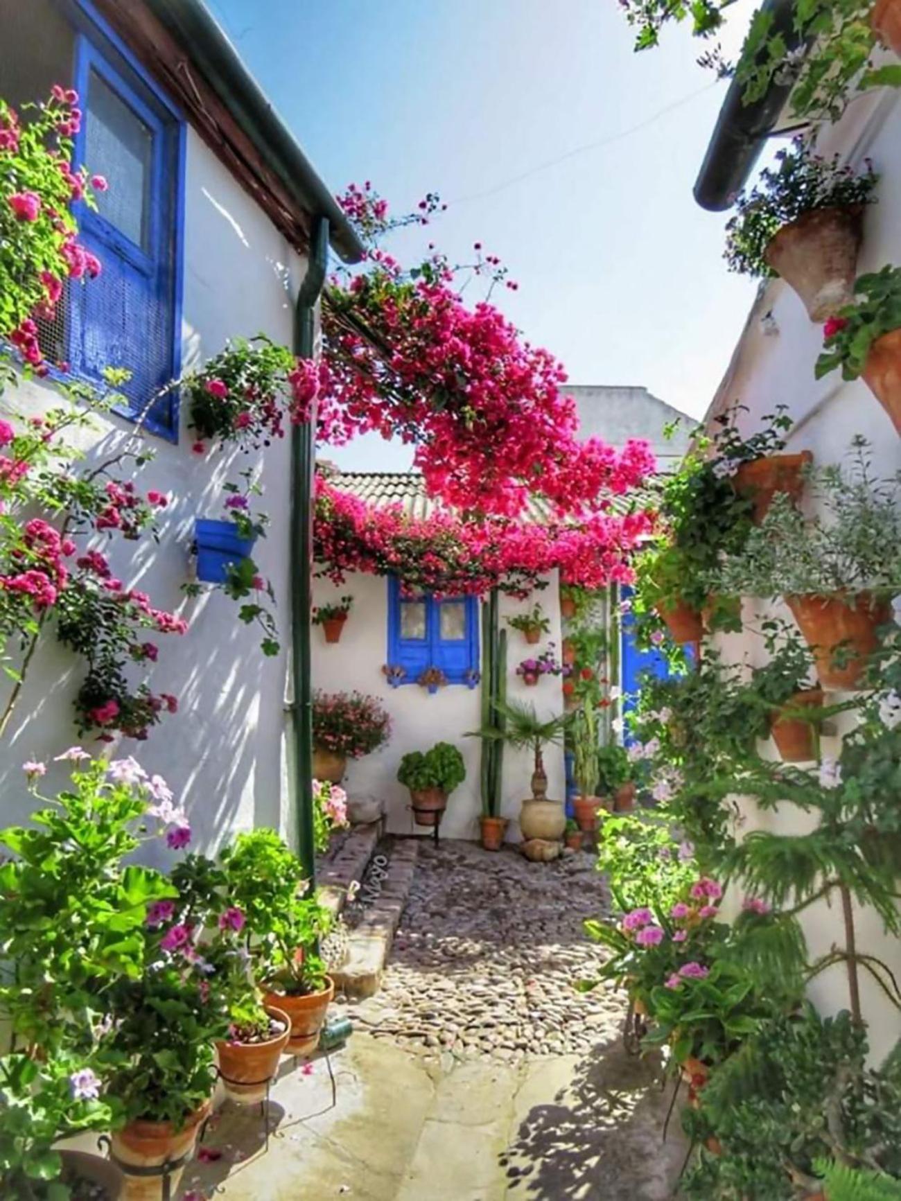 Nieves Viejas Los Patios Córdoba Eksteriør billede