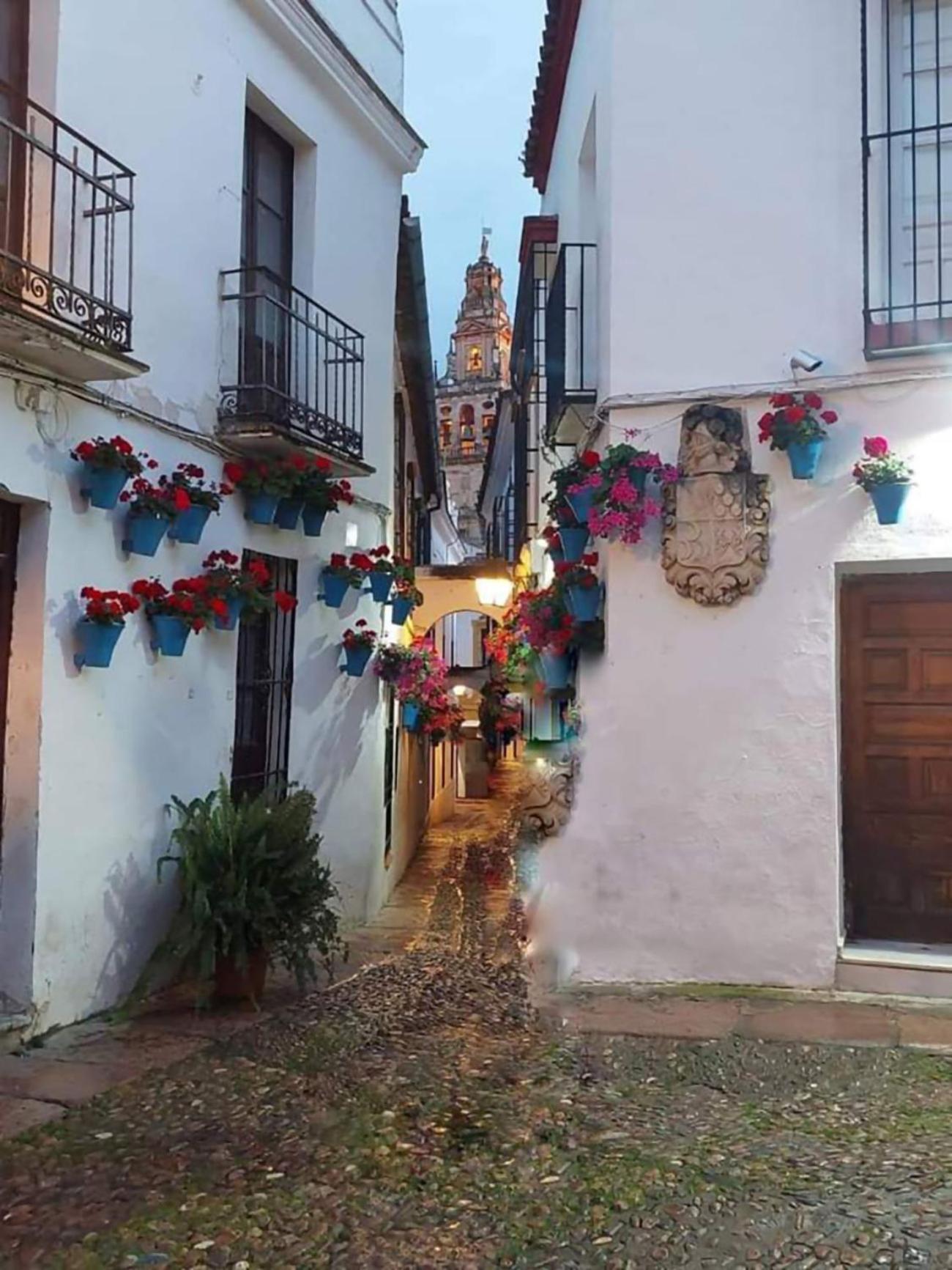 Nieves Viejas Los Patios Córdoba Eksteriør billede
