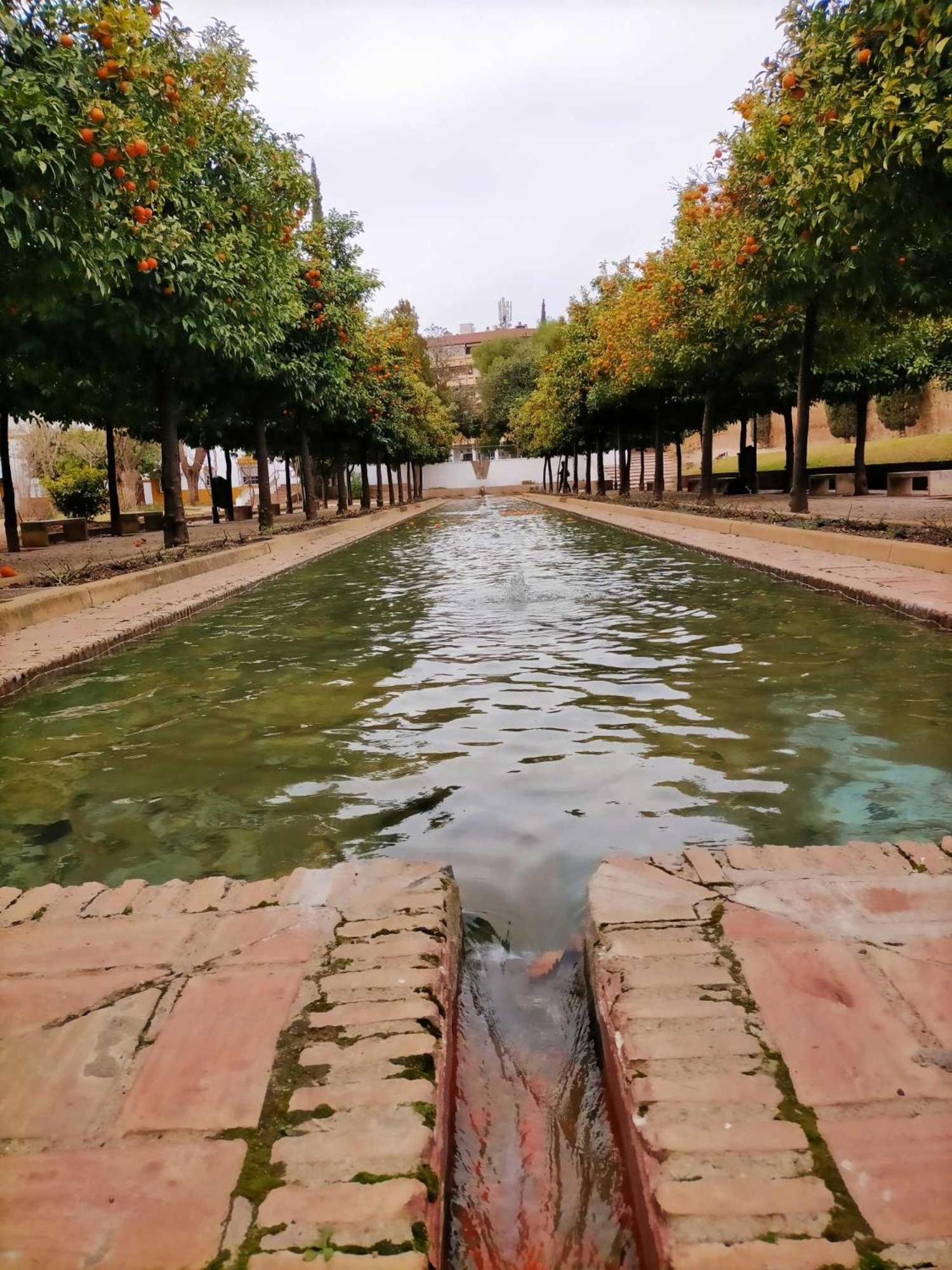 Nieves Viejas Los Patios Córdoba Eksteriør billede