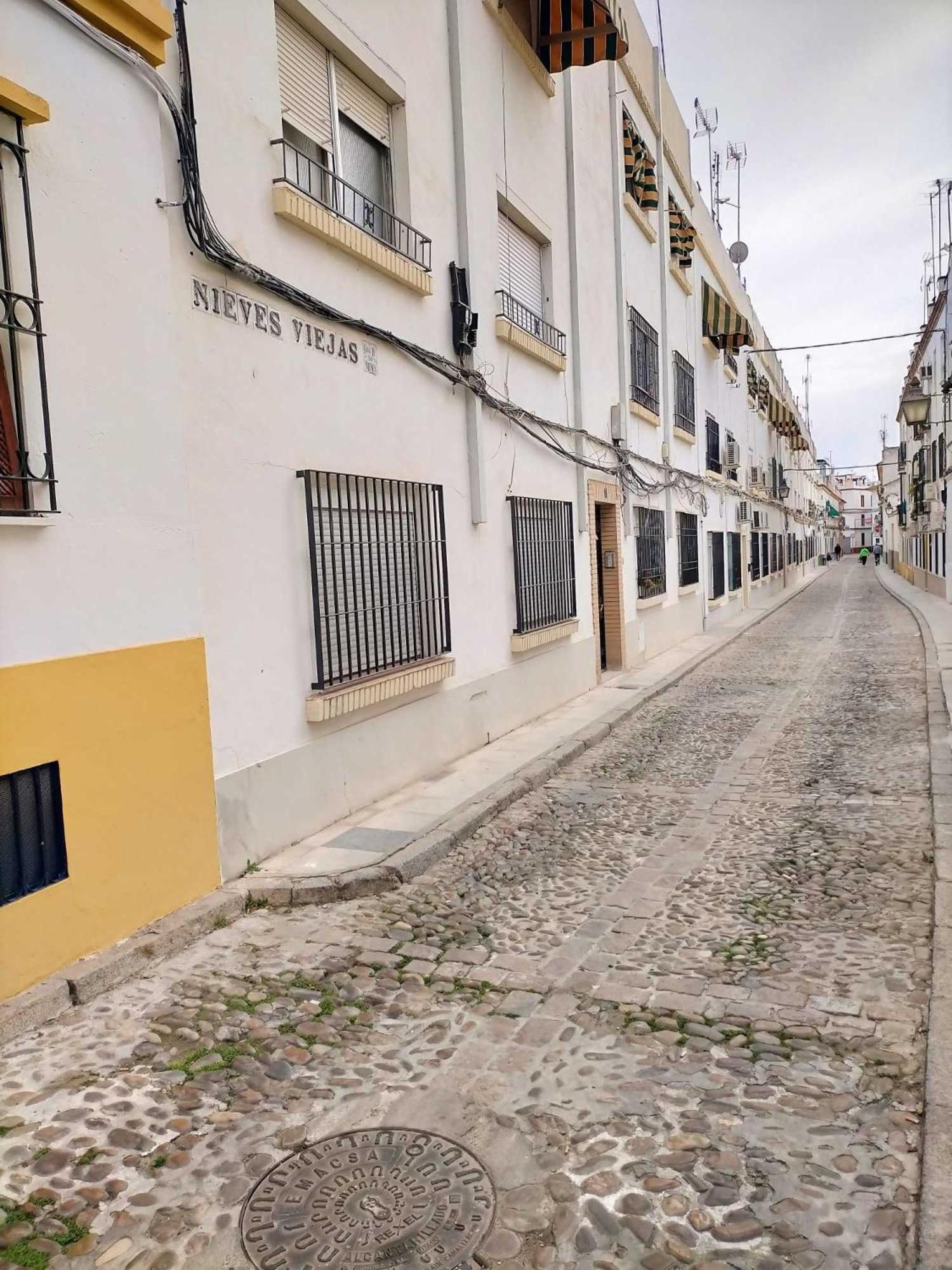 Nieves Viejas Los Patios Córdoba Eksteriør billede